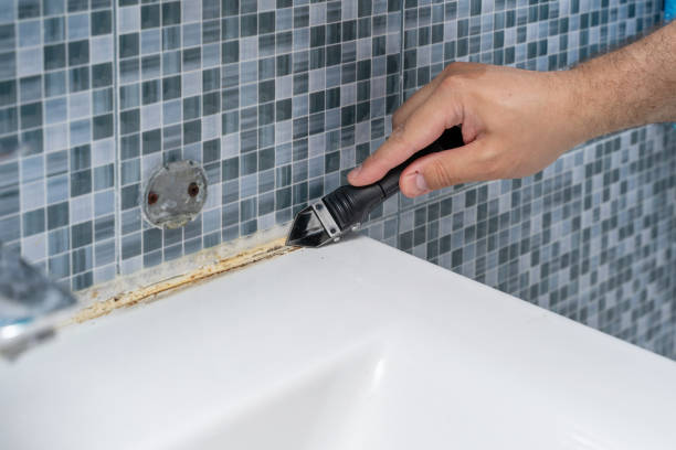 Best Emergency Mold Remediation in Jesup, GA